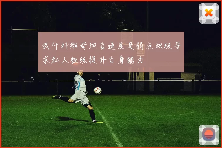 武什科维奇坦言速度是弱点积极寻求私人教练提升自身能力